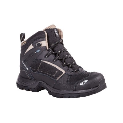 Ботинки мужские Salomon M 120660 Wasatch TS WP 