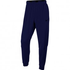 Брюки Nike 860371-492 Dry Training Pants 